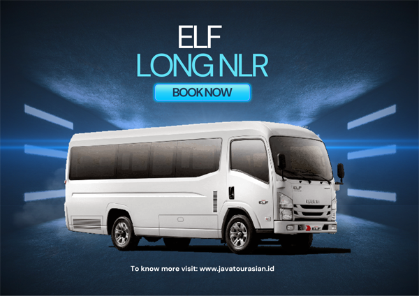Elf Long NLR